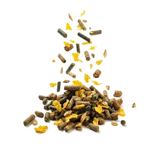 Fohlenfutter 20kg, Stutenfutter, energiereiches Pferdefutter, Pferdezucht Futter Neue Kollektion